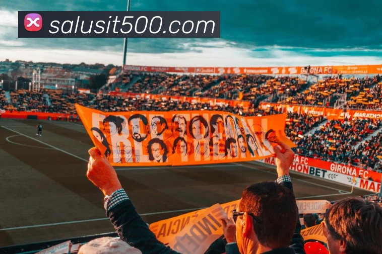 多媒体互动体验